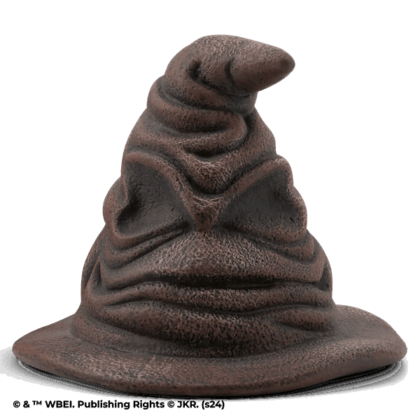 Sorting Hat Replacement Lid