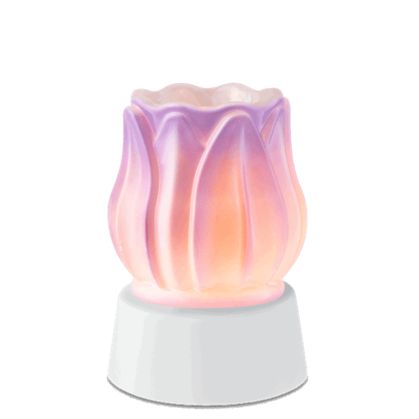 Prismatic Petal Mini Scentsy Warmer with Tabletop Base