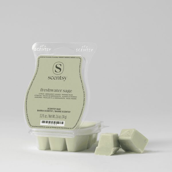 Pale green wax bars in a clear plastic clamshell package labelled Freshwater Sage Scentsy Bar, with three bars visible in the mould and two placed in front