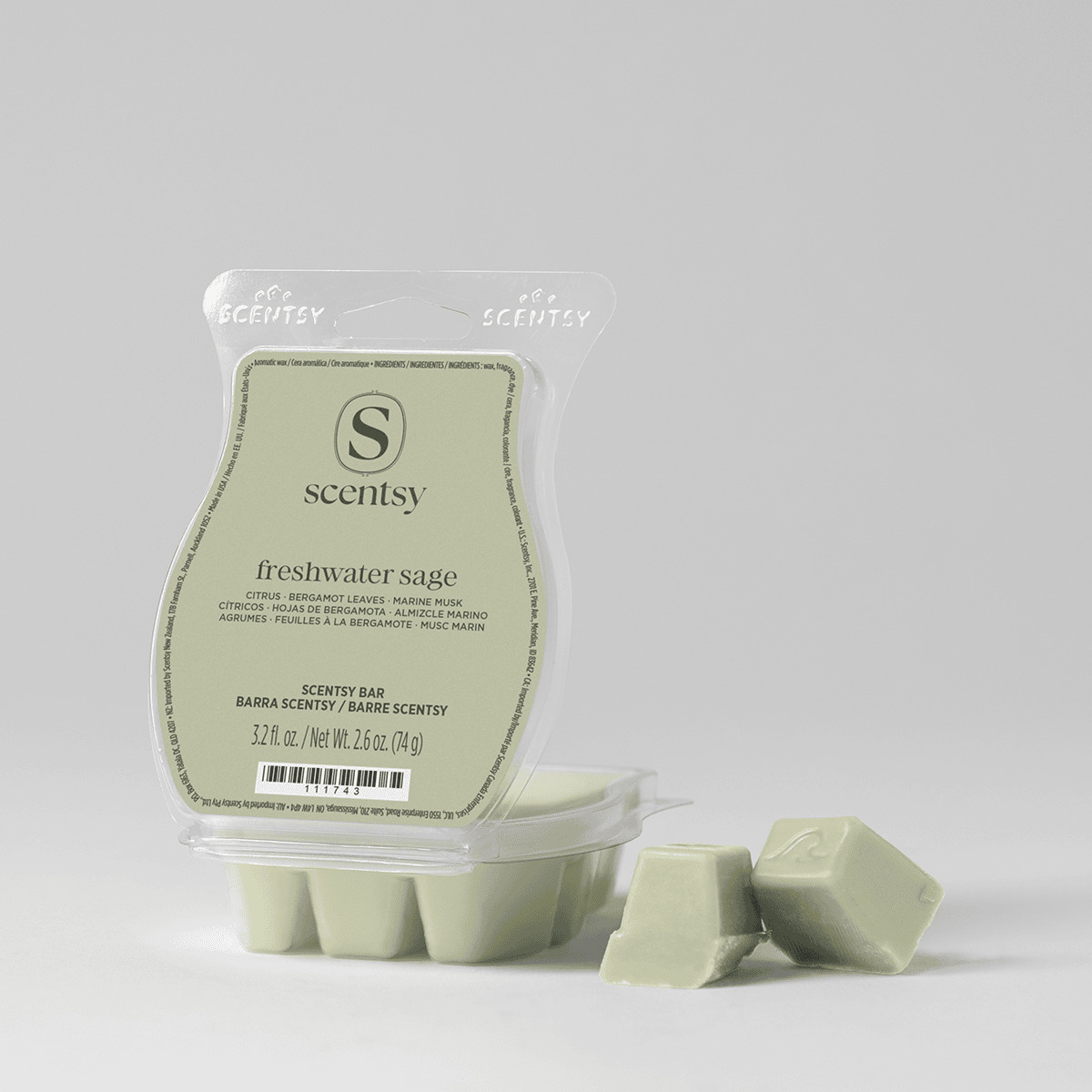 Pale green wax bars in a clear plastic clamshell package labelled Freshwater Sage Scentsy Bar, with three bars visible in the mould and two placed in front