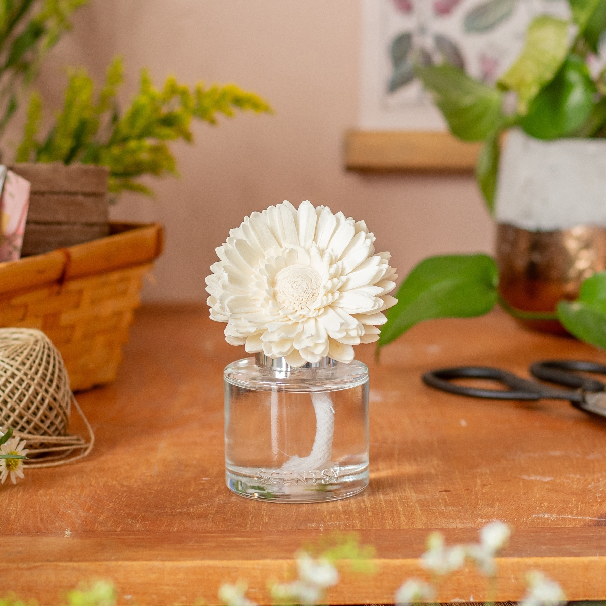 Cream porcelain daisy flower on a clear glass diffuser bottle, the Provence Lavender – Dainty Daisy Fragrance Flower