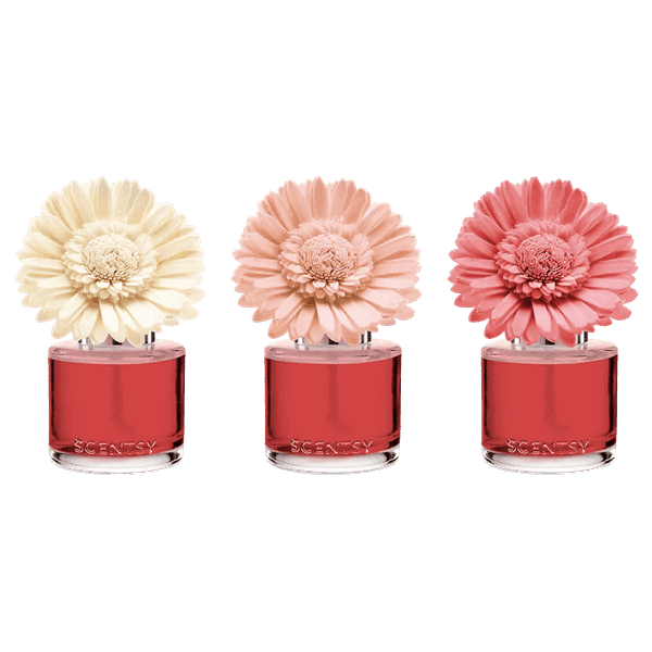 Glorious Grapefruit - Garden Bouquet Fragrance Flower