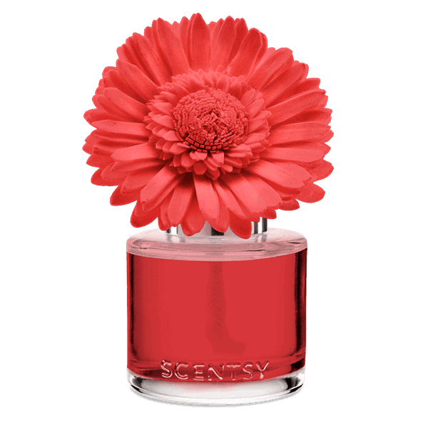Santorini Blossoms - Dainty Daisy Fragrance Flower