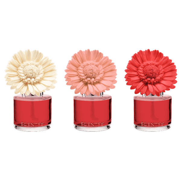 Santorini Blossoms - Dainty Daisy Fragrance Flower
