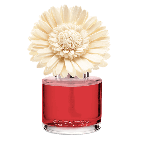 Santorini Blossoms - Dainty Daisy Fragrance Flower