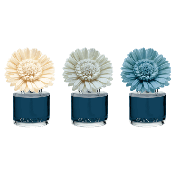 Sorrento Breeze - Dainty Daisy Fragrance Flower