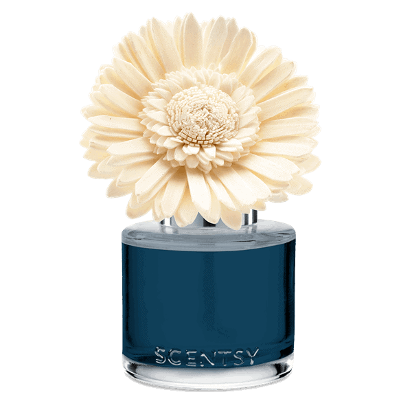 Sorrento Breeze - Dainty Daisy Fragrance Flower
