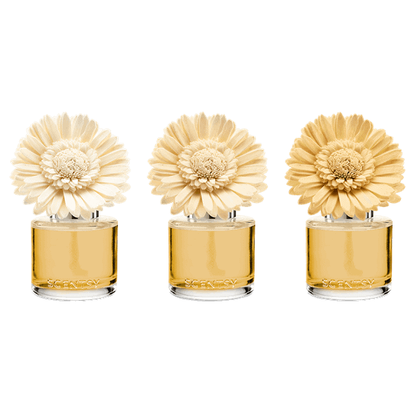 Sun-Drenched Cotton - Dainty Daisy Fragrance Flower