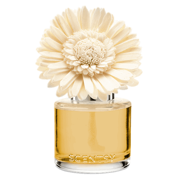 Sun-Drenched Cotton - Dainty Daisy Fragrance Flower