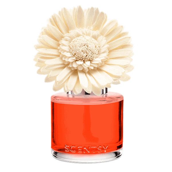 Sunset Cocktail - Dainty Daisy Fragrance Flower