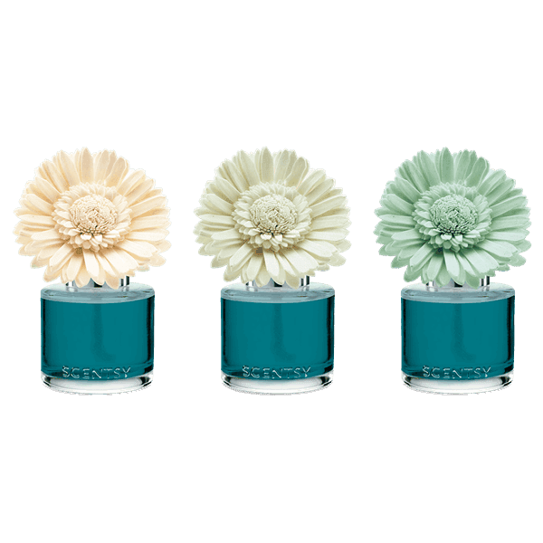Wild Seaside - Dainty Daisy Fragrance Flower