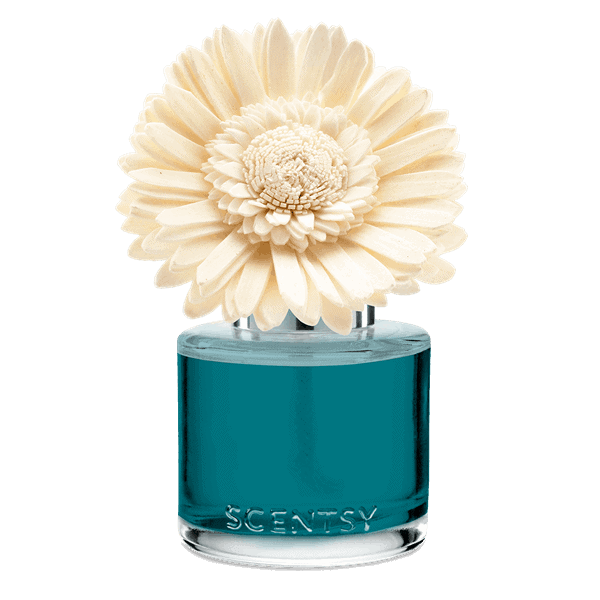 Wild Seaside - Dainty Daisy Fragrance Flower