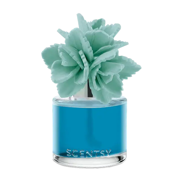 Wildflowers & Sage - Elegant Echeveria Fragrance Flower