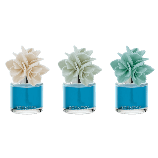 Wildflowers & Sage - Elegant Echeveria Fragrance Flower