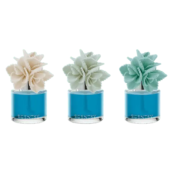 Wildflowers & Sage - Elegant Echeveria Fragrance Flower