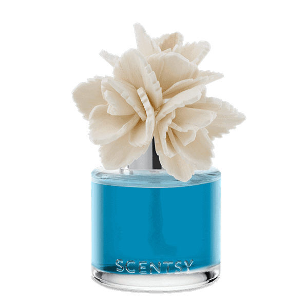 Wildflowers & Sage - Elegant Echeveria Fragrance Flower
