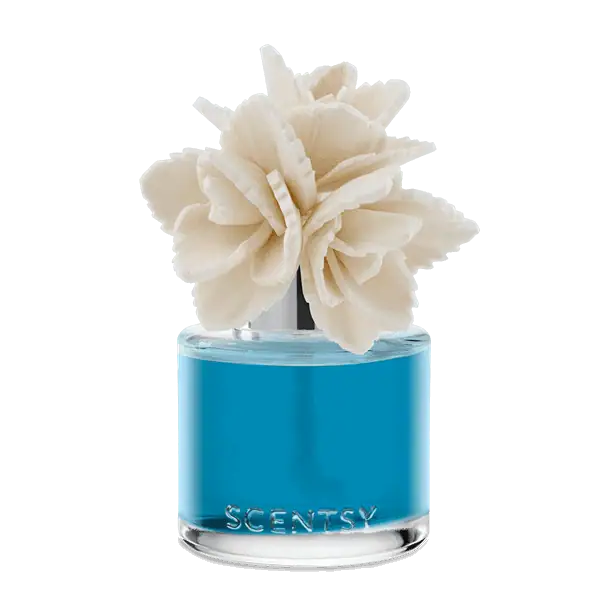 Wildflowers & Sage - Elegant Echeveria Fragrance Flower