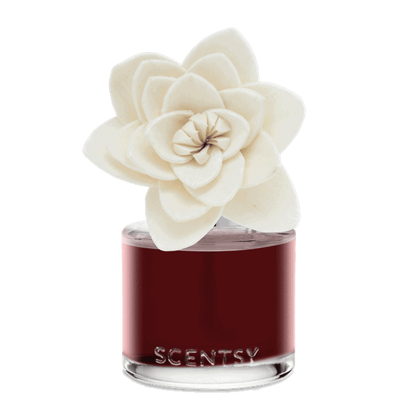 Festive Fruit Punch Natural Poinsettia Fragrance Flower