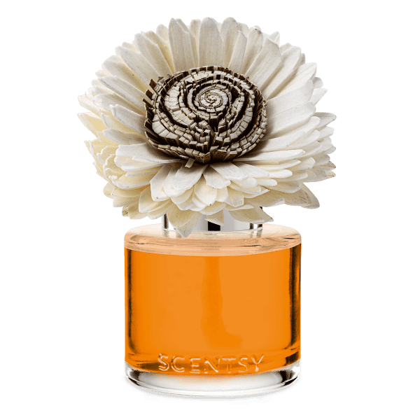 Spiced Pecan Crème Stunning Sunflower Fragrance Flower