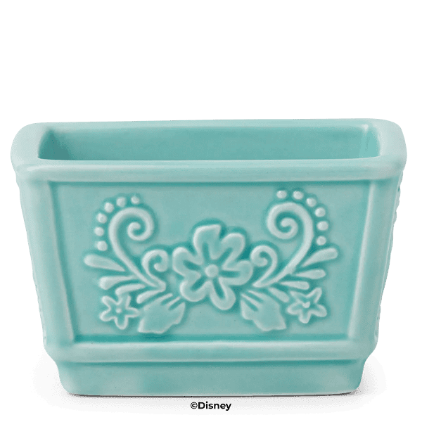 Disney Encanto Replacement Dish