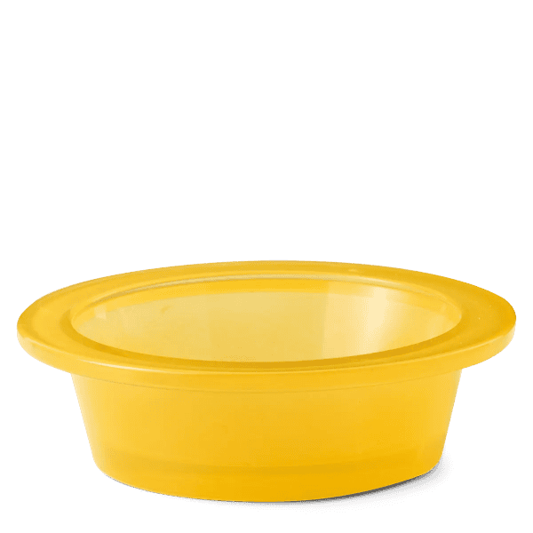 Share a Smile Replacement Dish