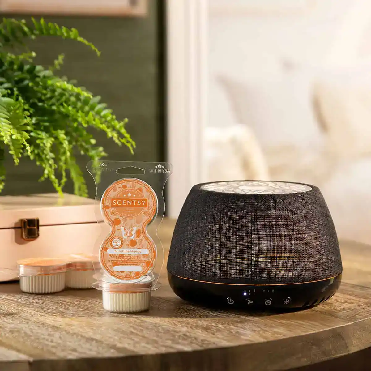 Scentsy Air Quad Black with Pods - Styled