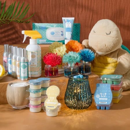 Scentsy Collection of Products
