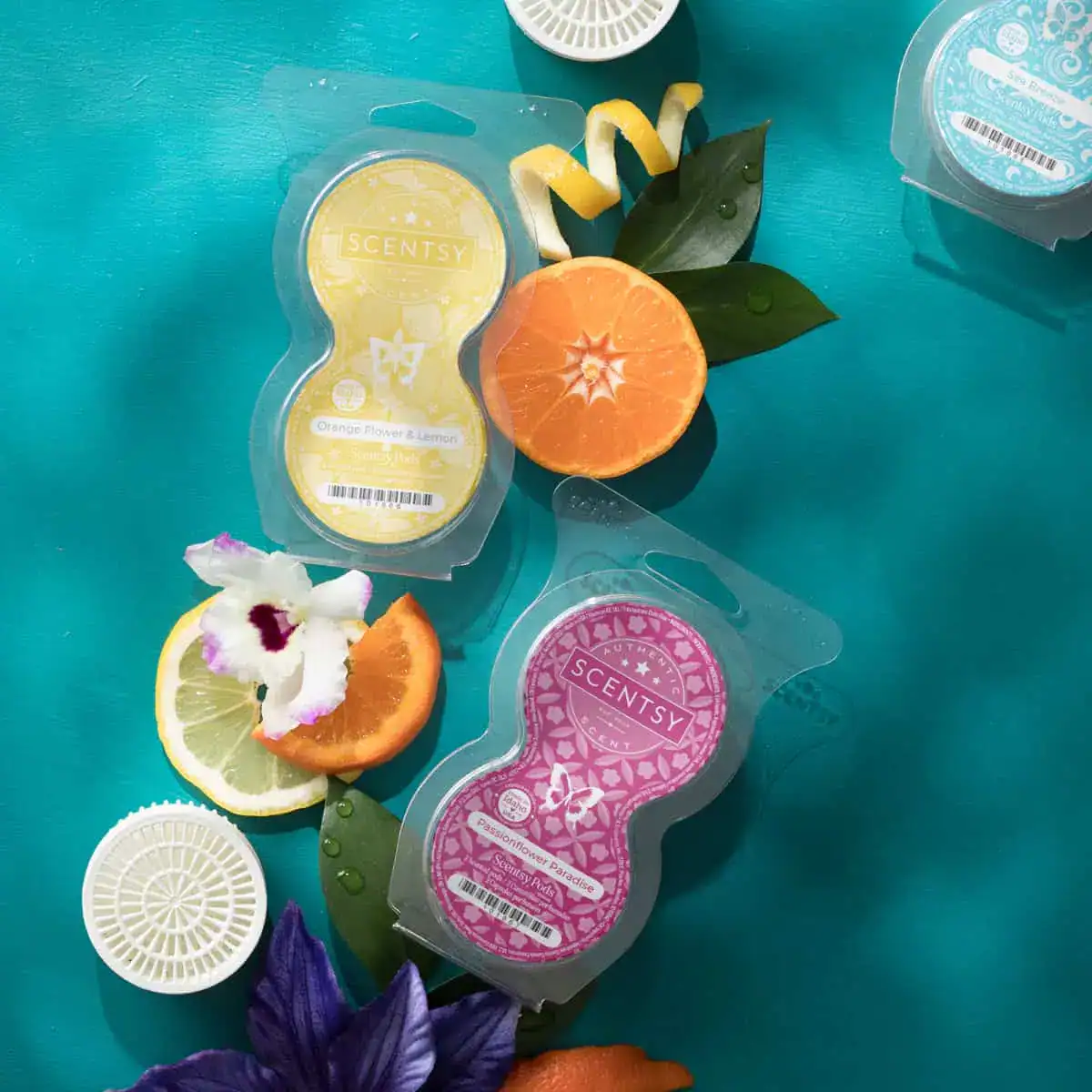 Scentsy Pods - Styled