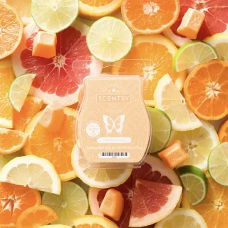 A Scentsy Wax Bar in its clamshell, peach-coloured cubes marked with the Scentsy butterfly, resting on a bed of sliced oranges, lemons, limes and grapefruit