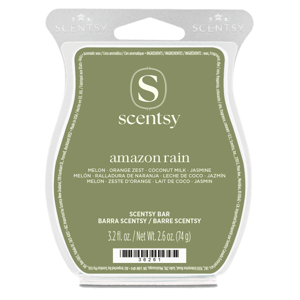 Amazon Rain Scentsy Bar