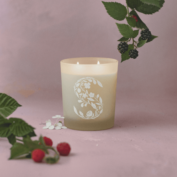 Black Raspberry Vanilla Scentsy Candle