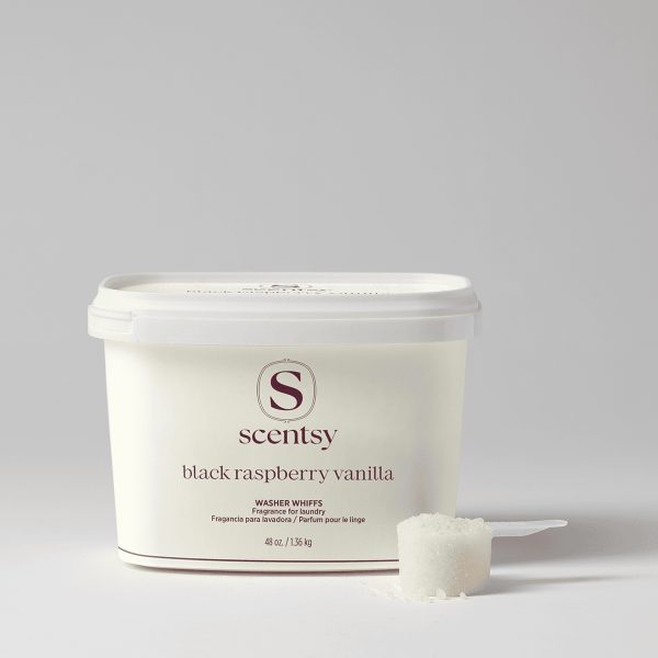 Black Raspberry Vanilla Washer Whiffs Tub
