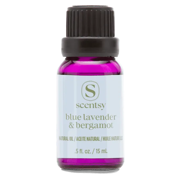 Small glass bottle filled with vibrant magenta liquid, with a black screw cap and white label reading "scentsy Blue Lavender & Bergamot Natural Oil Blend, .5 fl oz / 15 mL