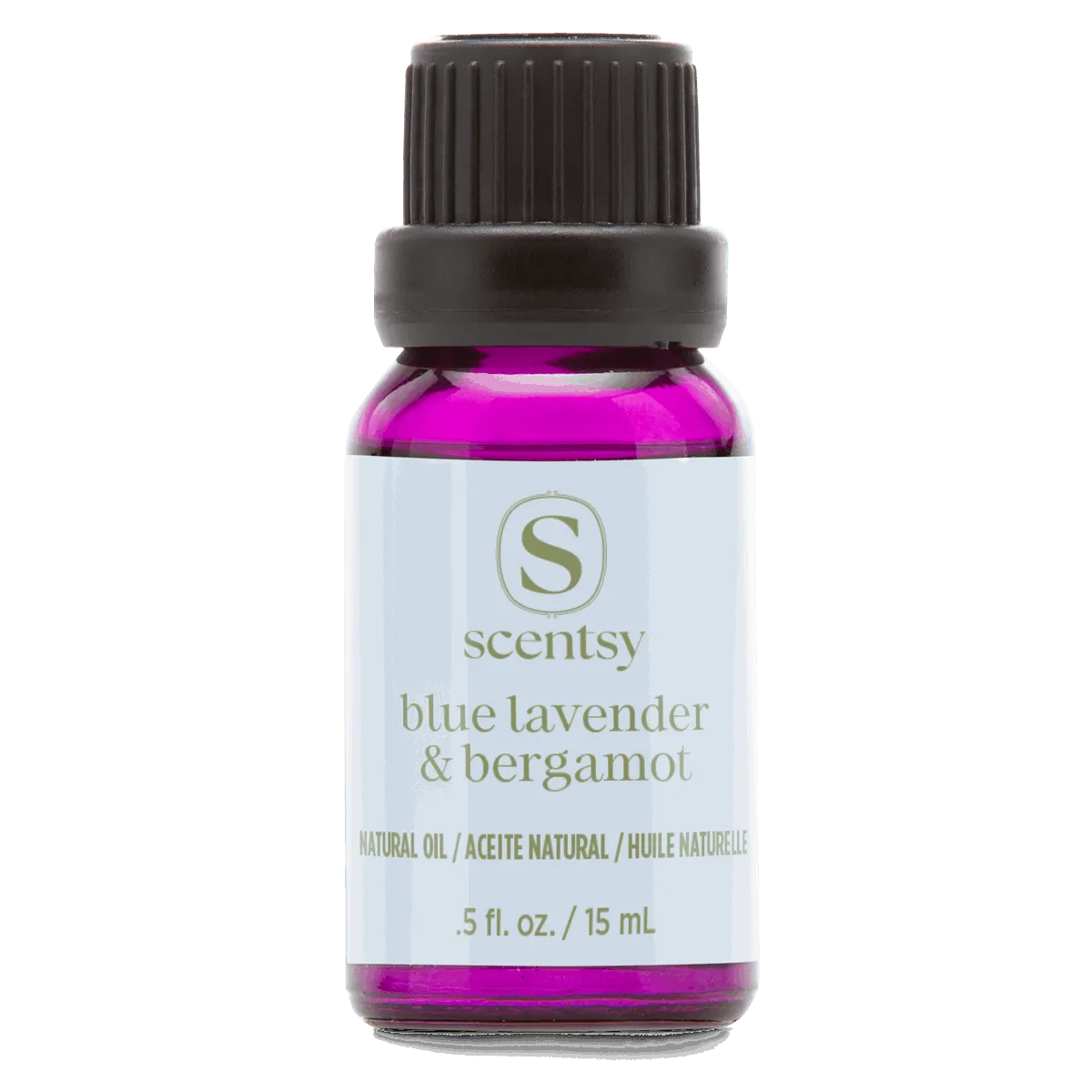 Small glass bottle filled with vibrant magenta liquid, with a black screw cap and white label reading "scentsy Blue Lavender & Bergamot Natural Oil Blend, .5 fl oz / 15 mL