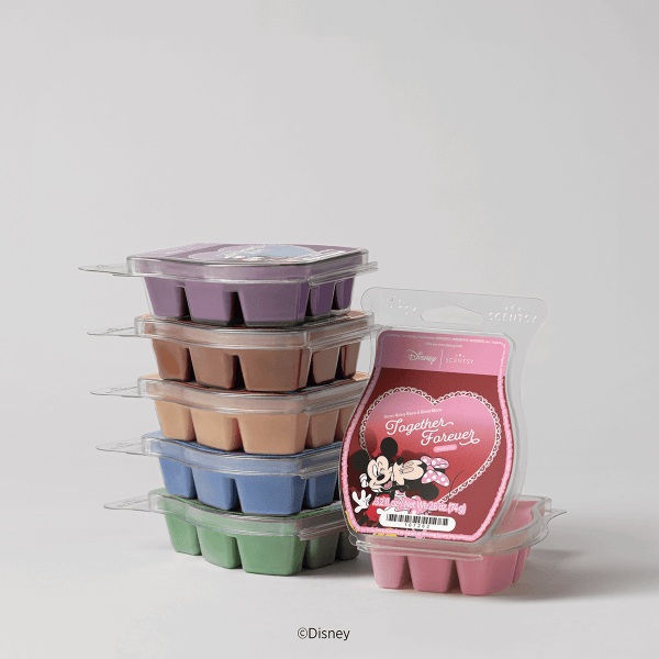 Disney Love Stories - Scentsy Wax Collection