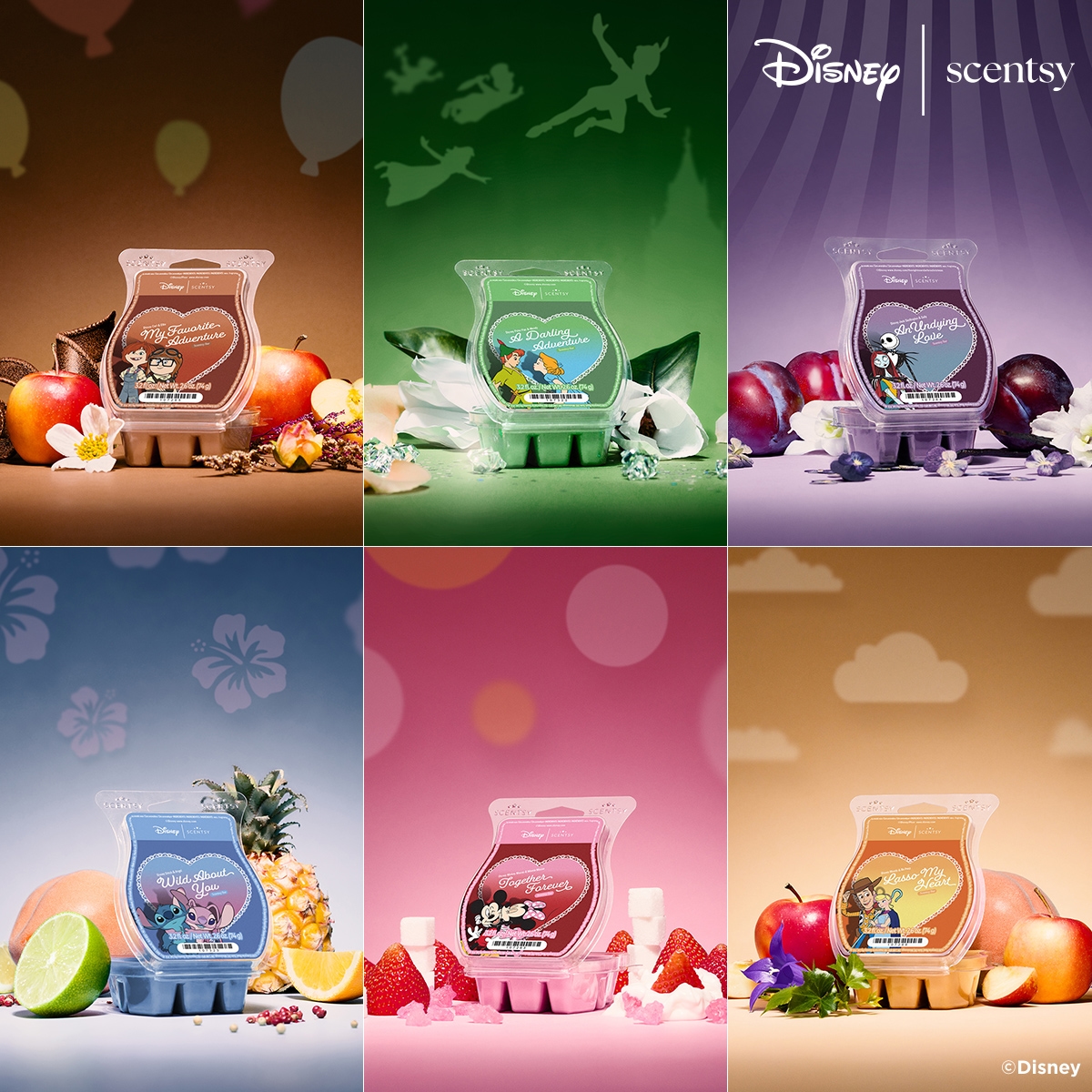 Disney Love Stories Collection
