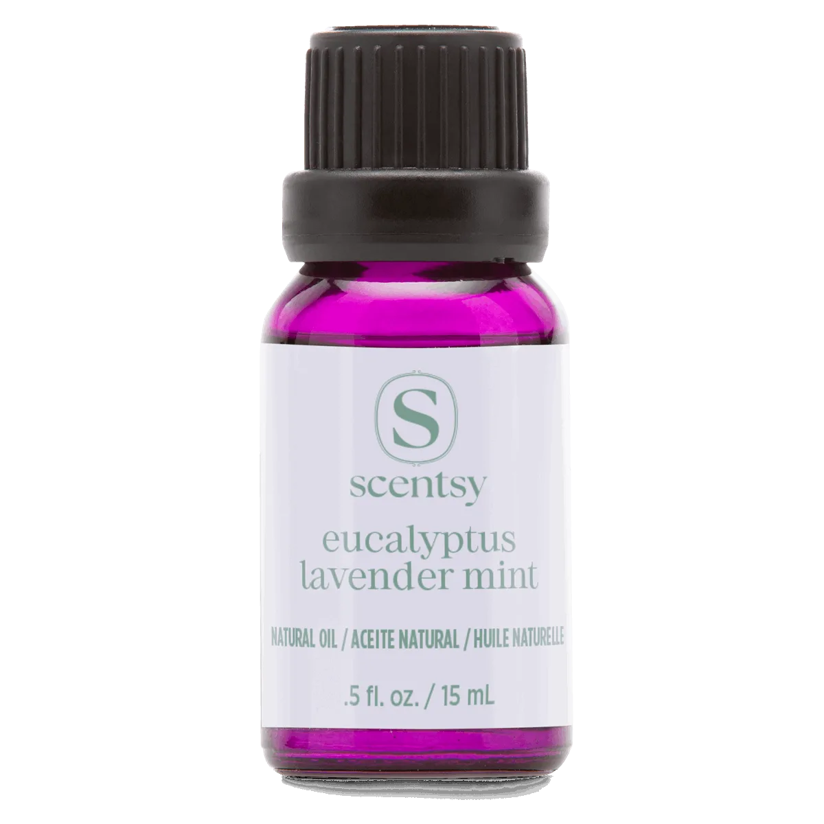 Small glass bottle filled with bright magenta natural oil, sealed with a black cap and white label printed with the Scentsy logo and product name Eucalyptus Lavender Mint Natural Oil Blend, 15 ml