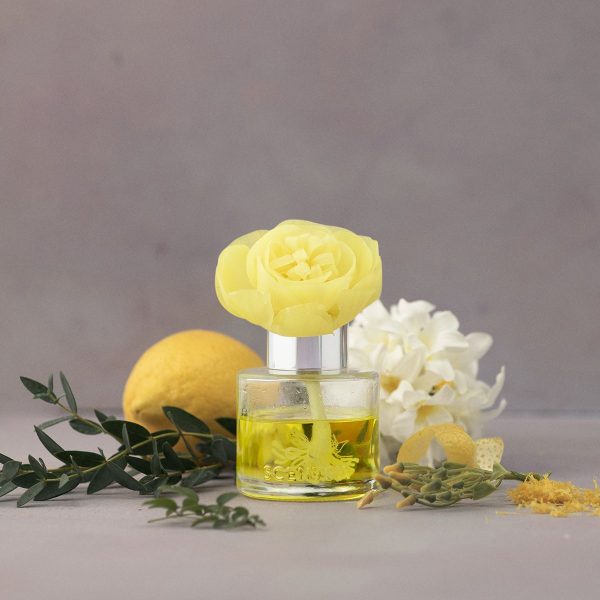 Honeysuckle Dew - Buttercup Belle Fragrance Flower