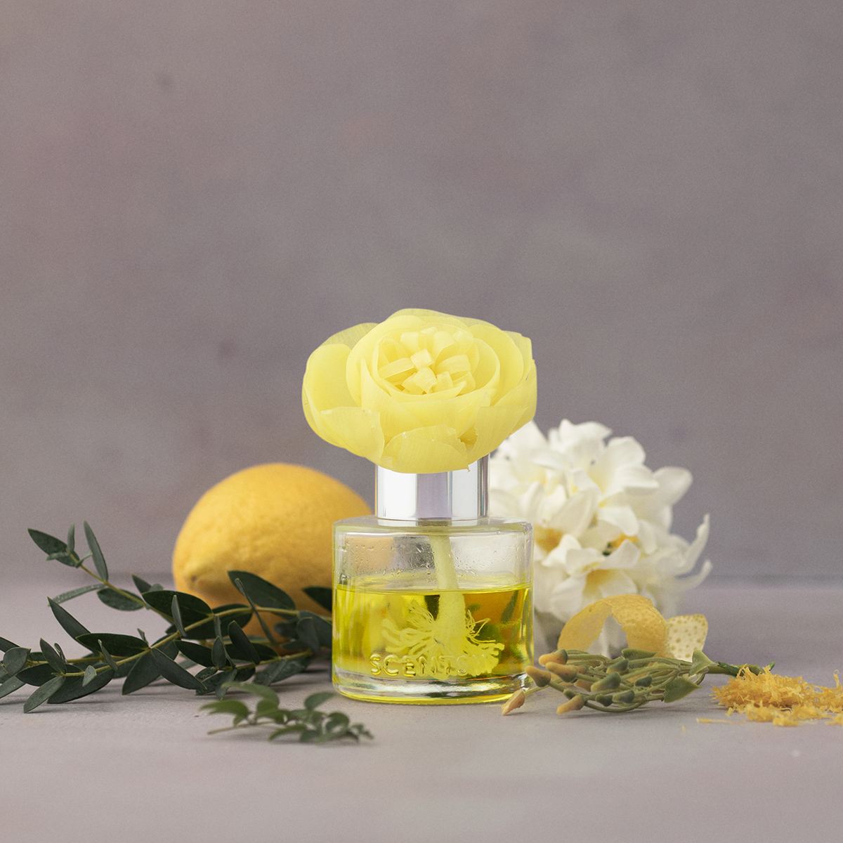 Honeysuckle Dew - Buttercup Belle Fragrance Flower