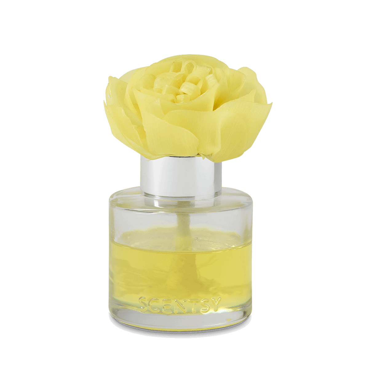 Honeysuckle Dew - Buttercup Belle Fragrance Flower