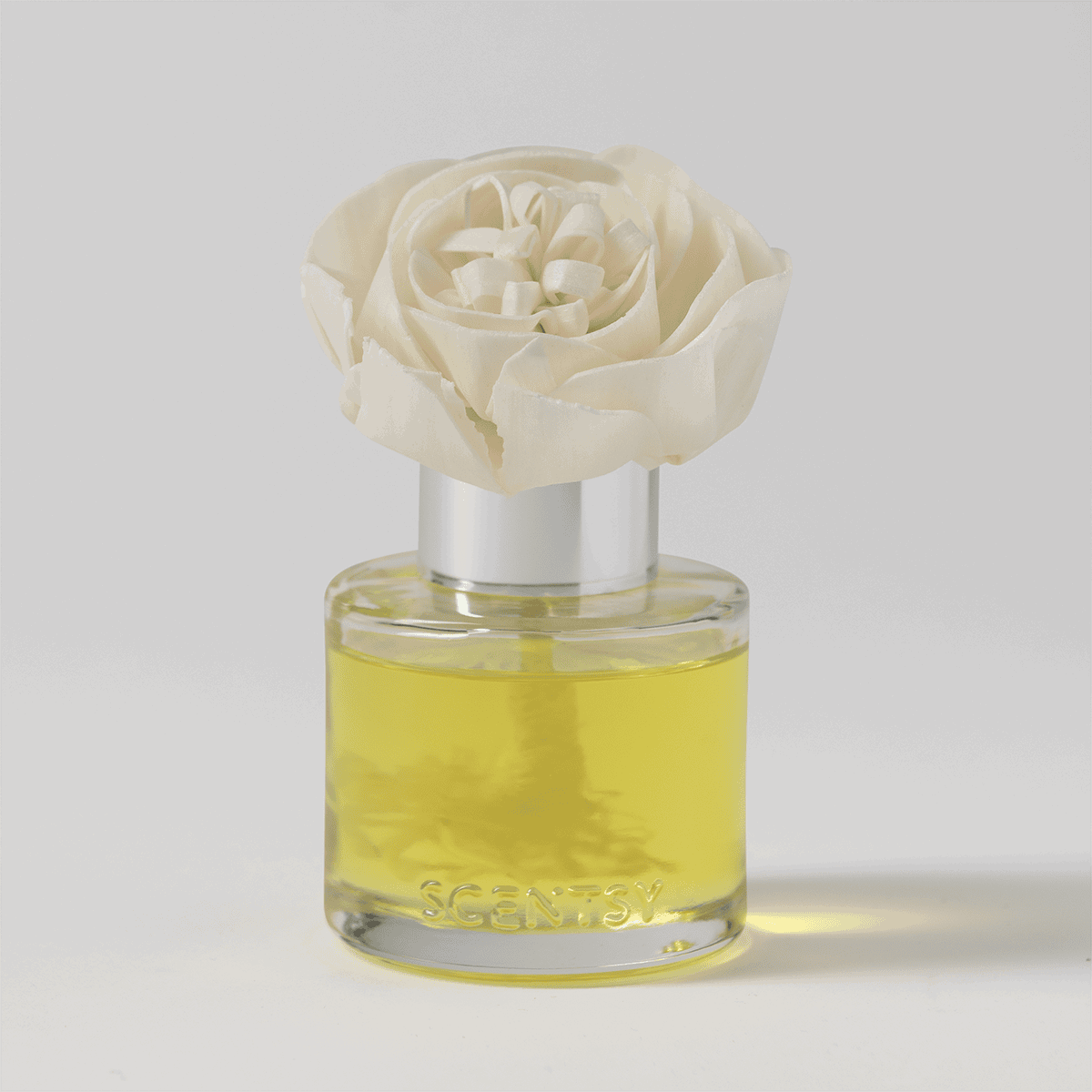 Honeysuckle Dew - Buttercup Belle Fragrance Flower