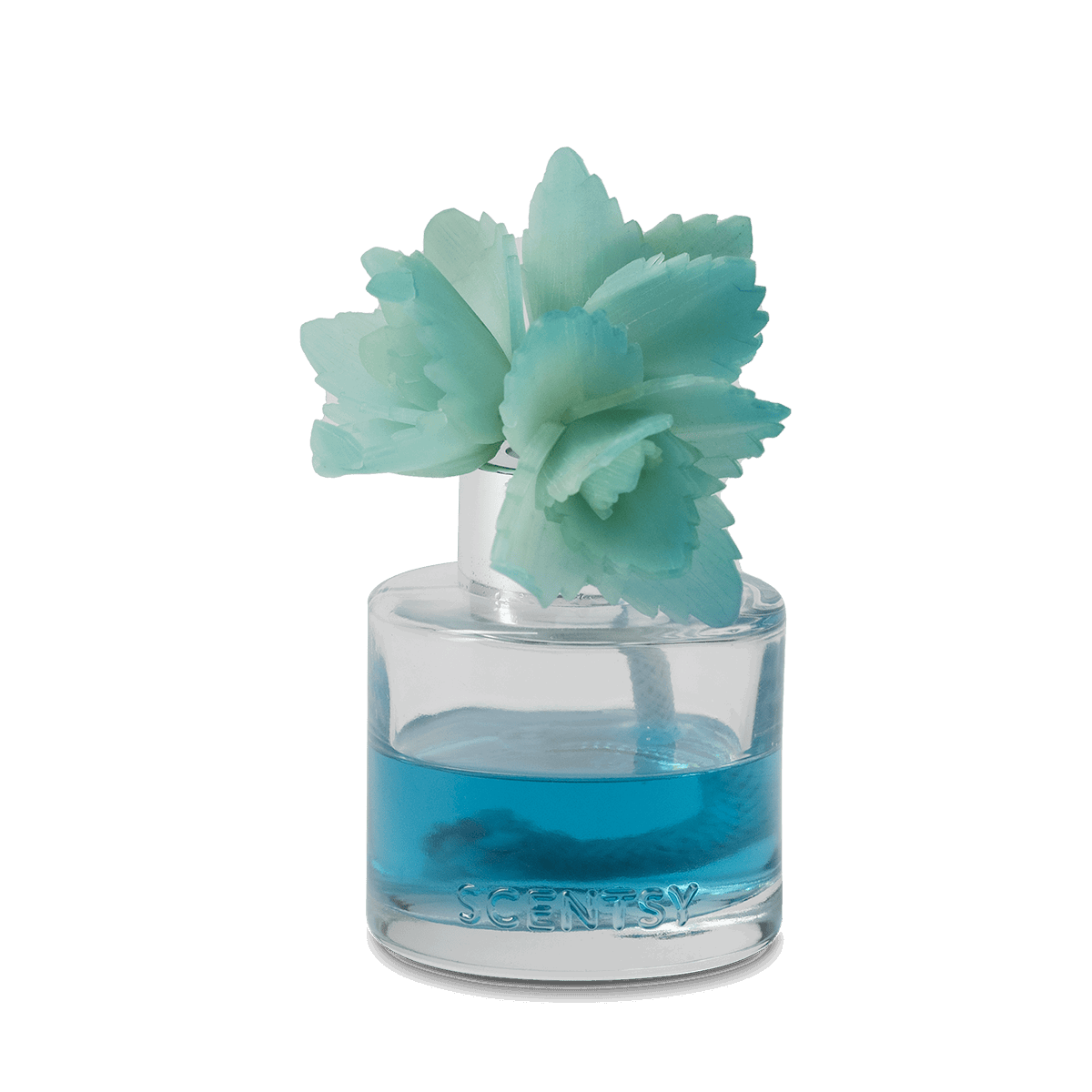 Serene Succulent - Elegant Echeveria Fragrance Flower