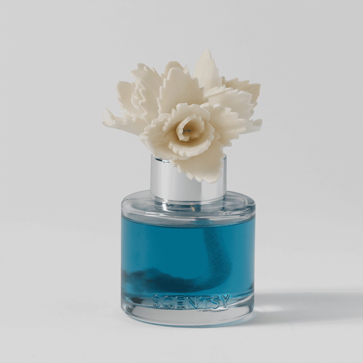 Serene Succulent - Elegant Echeveria Fragrance Flower