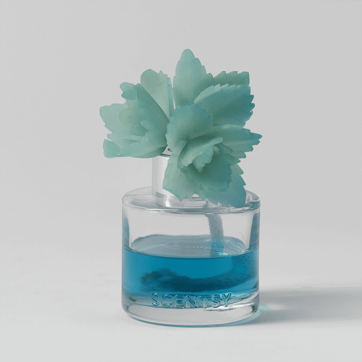 Serene Succulent - Elegant Echeveria Fragrance Flower