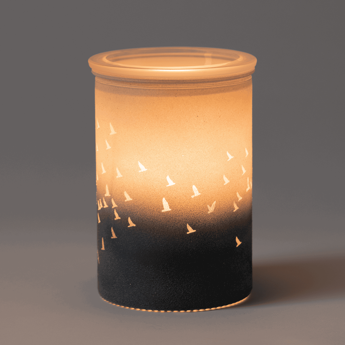 Waves & Wings Scentsy Warmer - Dark Room