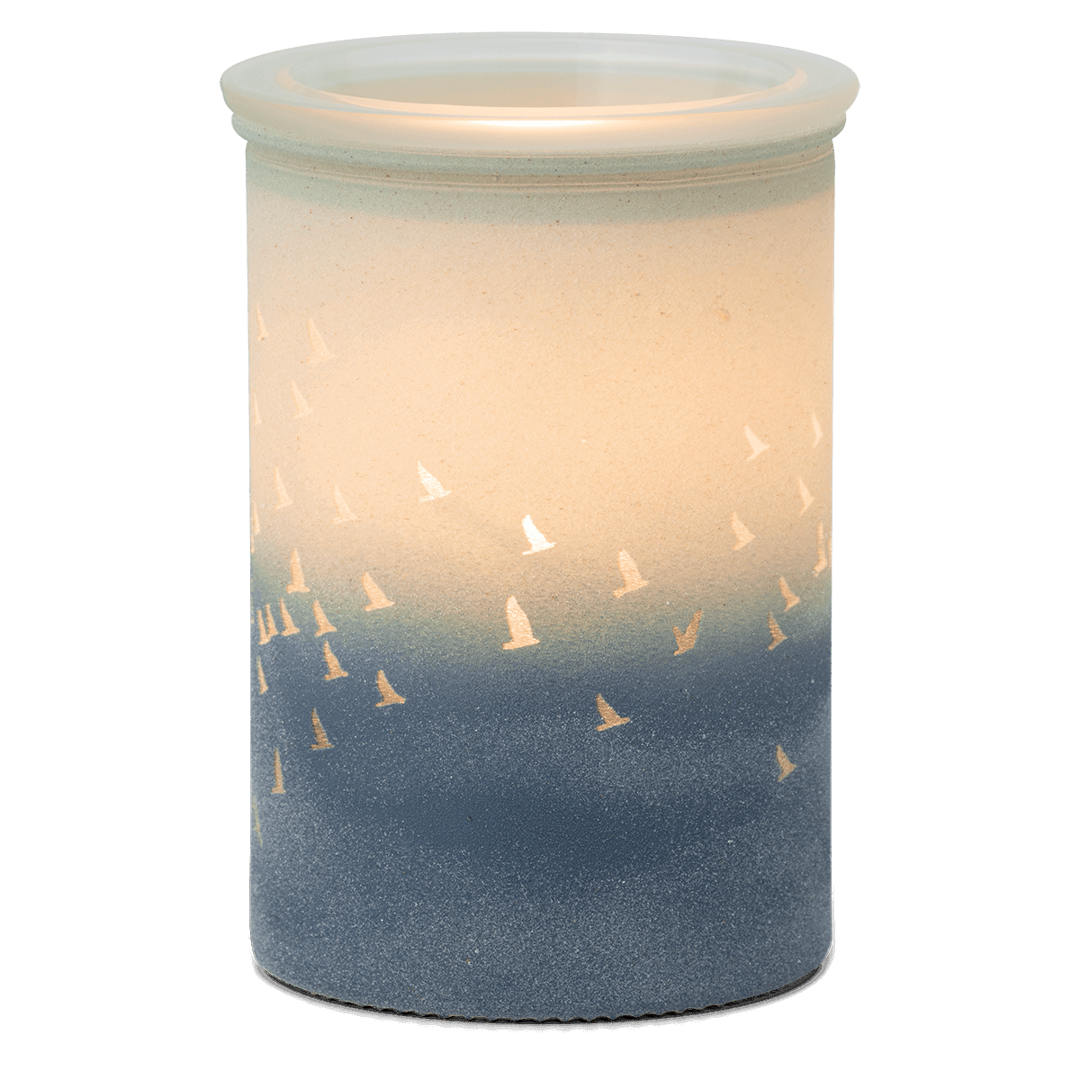 Waves & Wings Scentsy Warmer - Lit