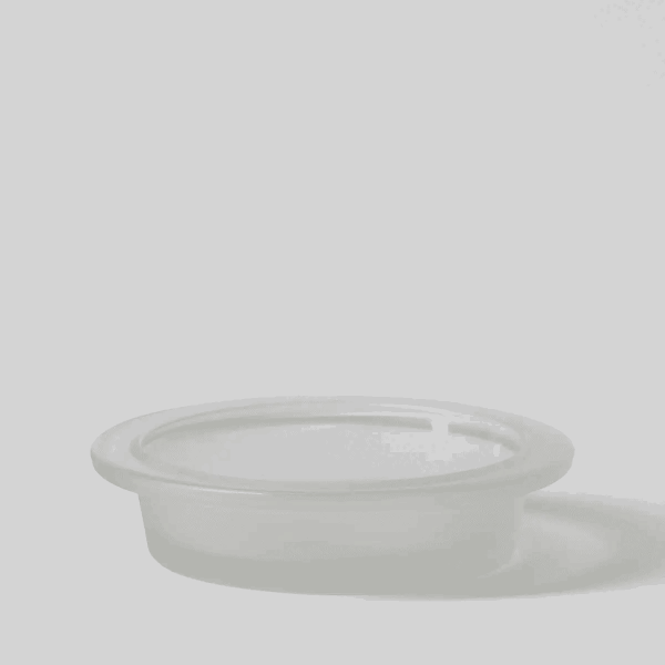 Waves & Wings Replacement Dish