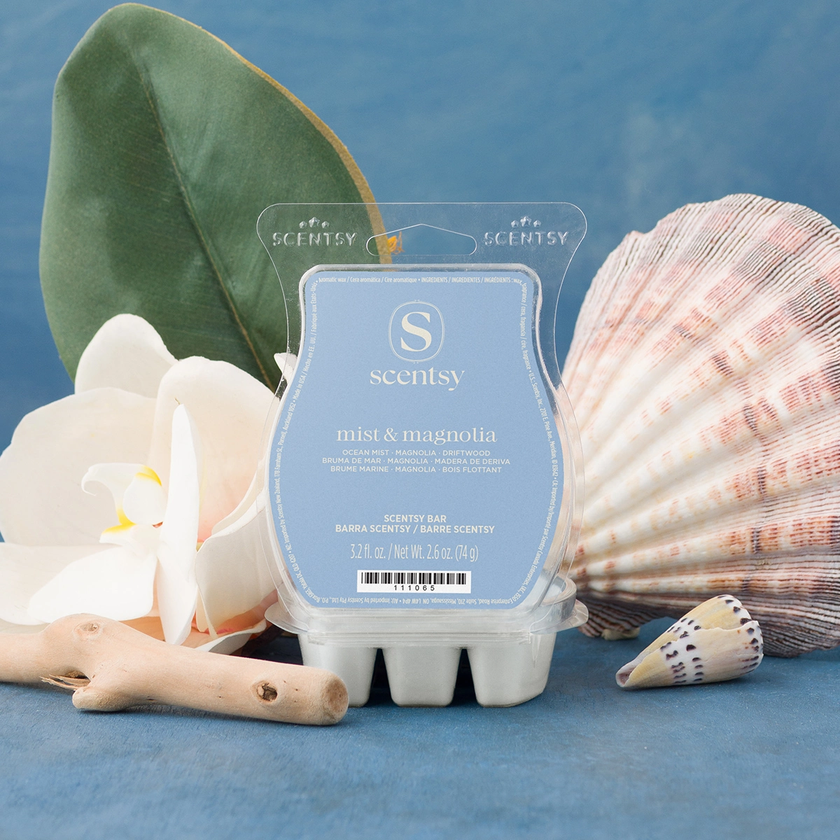 Clear plastic clamshell Scentsy Bar labelled "mist & magnolia" in light blue, surrounded by white magnolia flowers, green leaves, seashells and driftwood on a blue background, the Mist & Magnolia Scentsy Bar