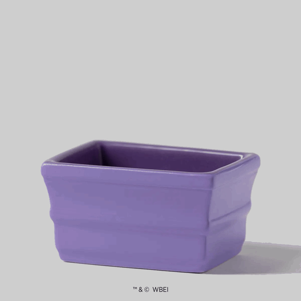 The One With the Yellow Frame Replacement Dish