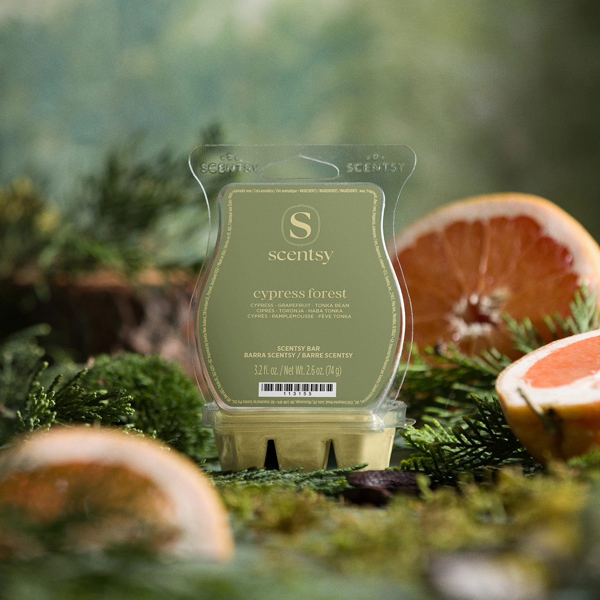 Pale green wax bar in a clear plastic clamshell surrounded by fresh cypress sprigs and grapefruit halves, the Cypress Forest Scentsy Bar